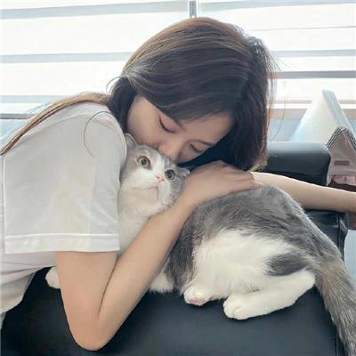 狂野之翼